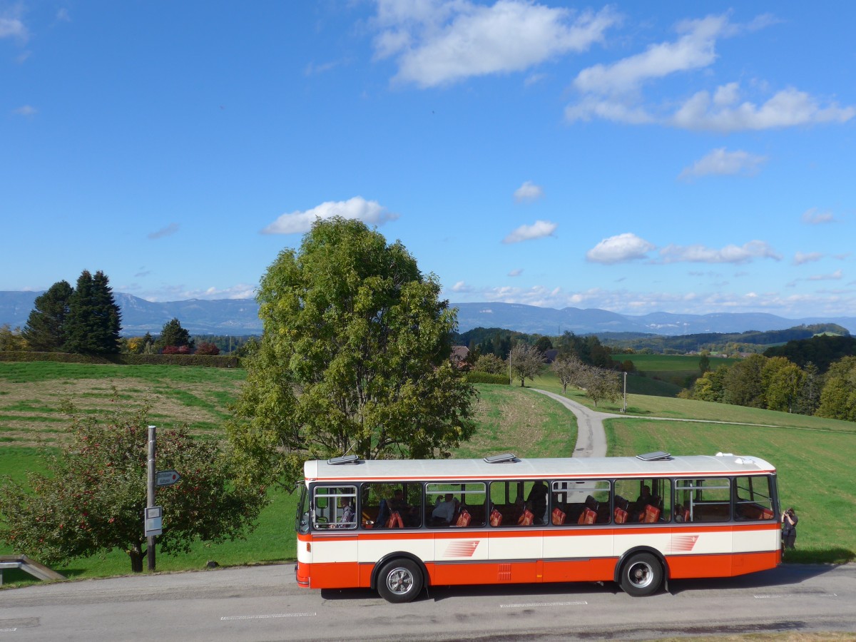 (166'025) - Frey, Opfikon - GL 15'272 - FBW/R&J (ex Tiemann, Oetwil Nr. 20; ex AAGS Schwyz Nr. 20) am 4. Oktober 2015 in Kaltacker, Brgglen