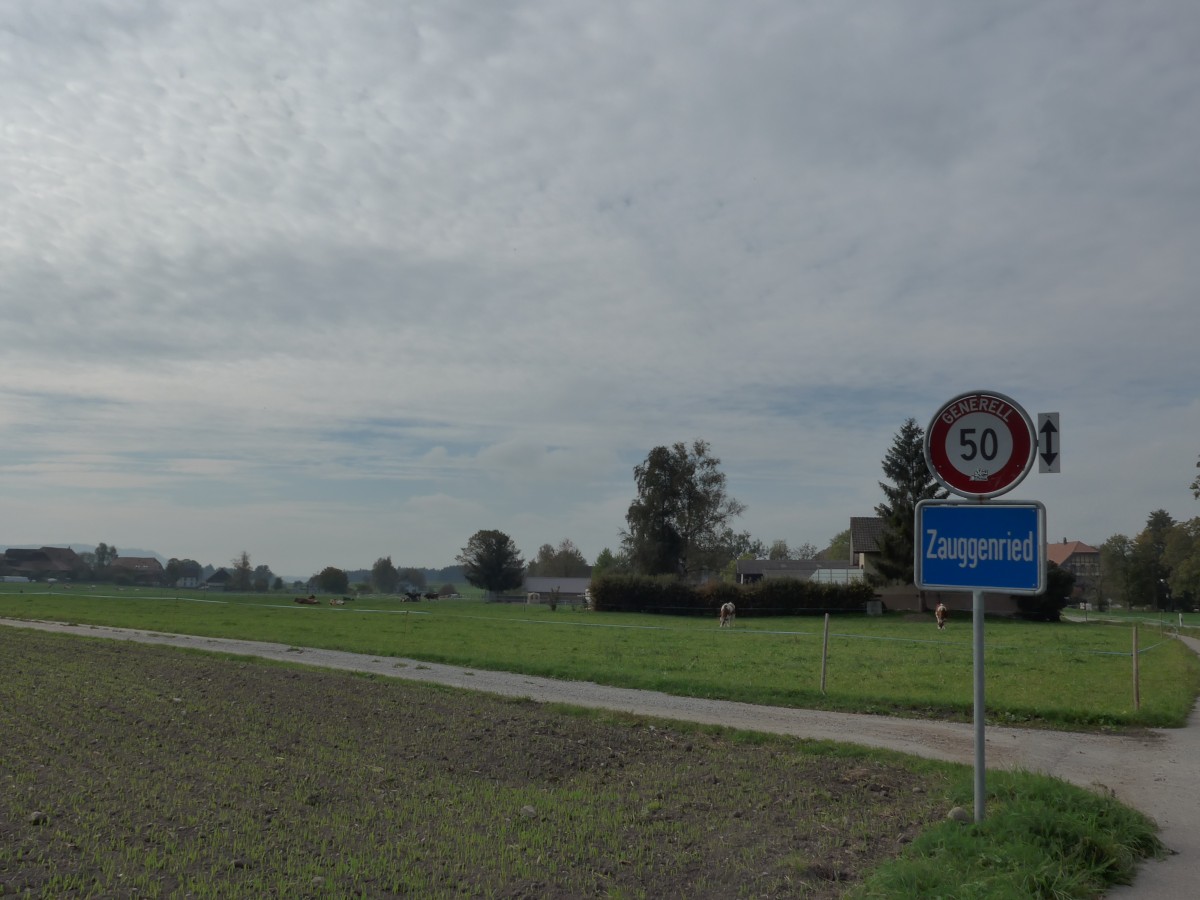 (166'229) - Zauggenried am 12. Oktober 2015