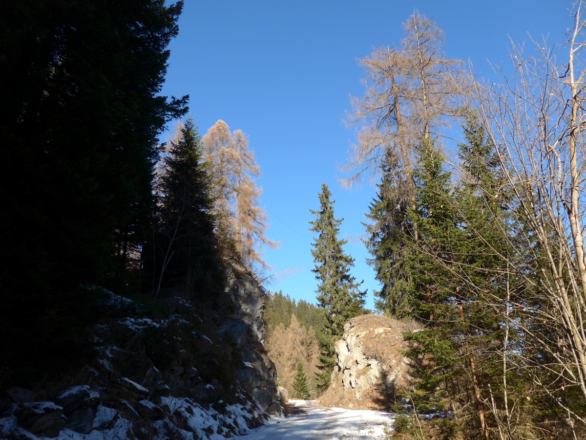 (167'637) - Waldstrsschen bei Tenna am 5. Dezember 2015