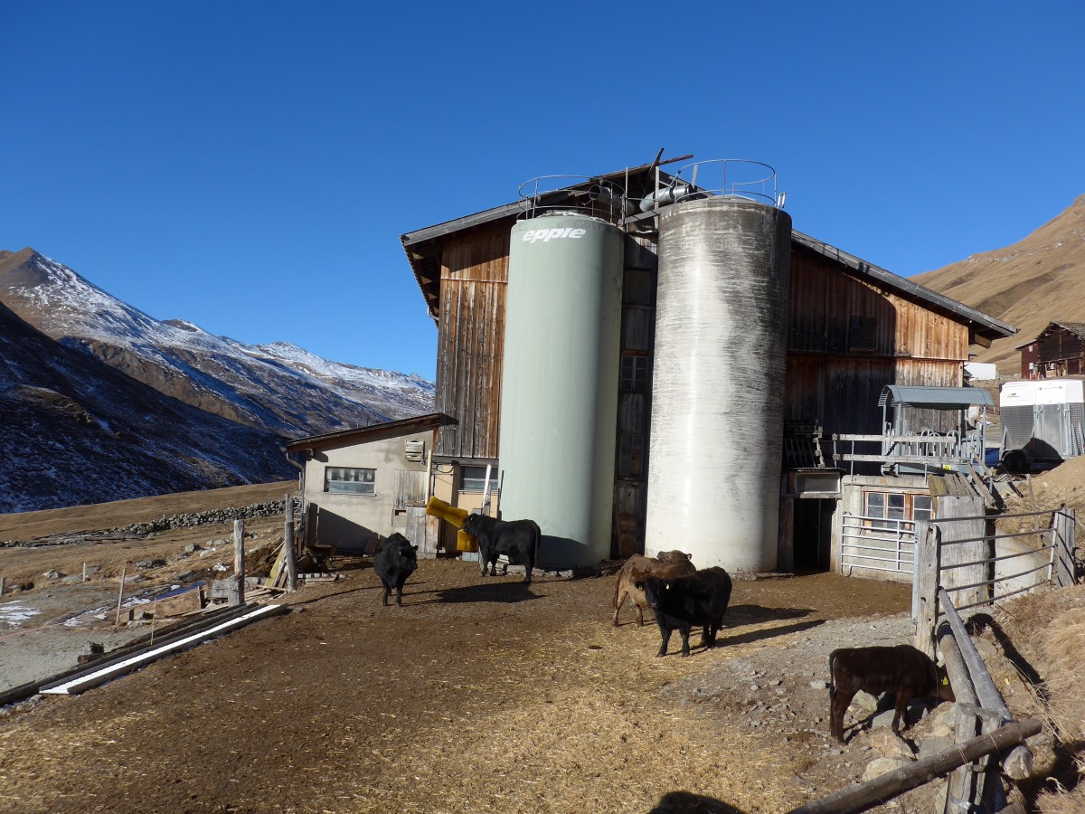 (168'064) - Khe am 29. Dezember 2015 in Juf