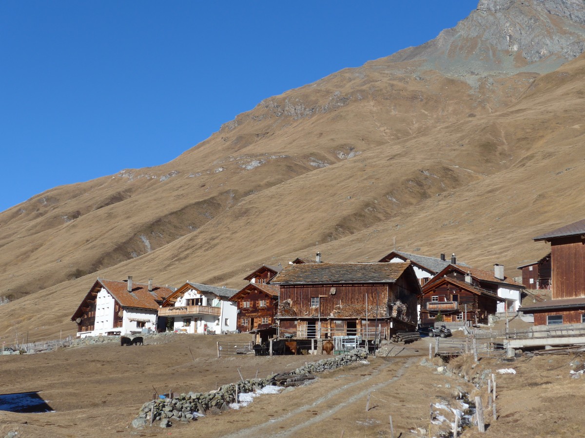 (168'072) - Huser am 29. Dezember 2015 in Juf