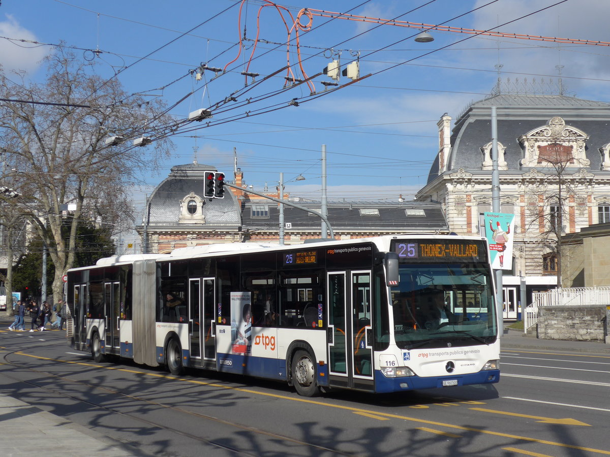 (169'099) - TPG Genve - Nr. 116/GE 960'500 - Mercedes am 7. Mrz 2016 in Genve, Place des Vingt-Deux-Cantons