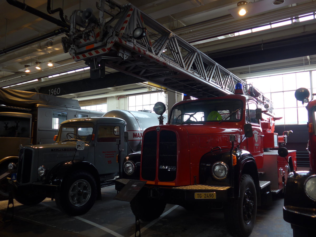(169'695) - Im Saurer-Museum: Saurer - TG 2490 - am 2. April 2016