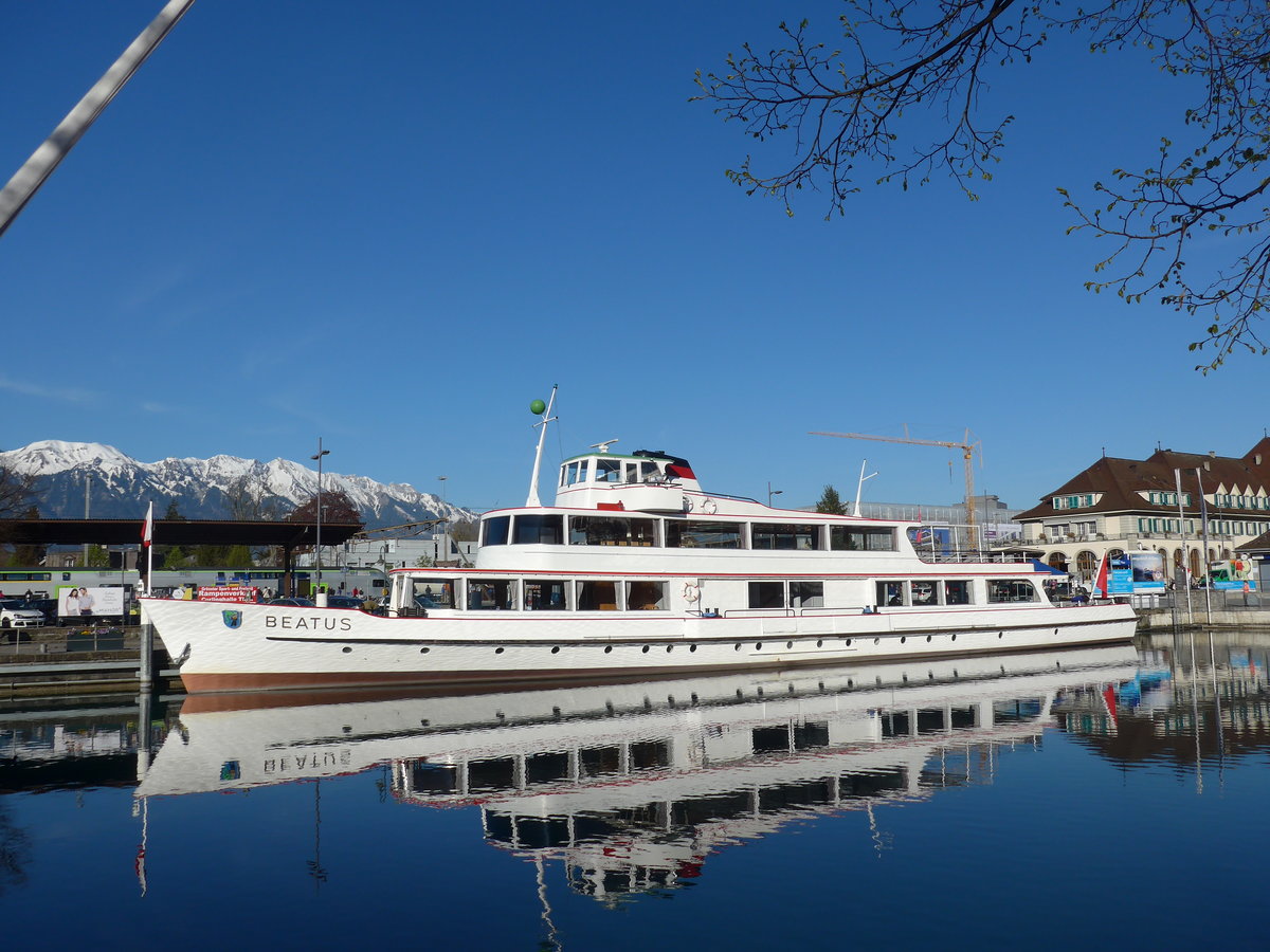 (170'184) - Motorschiff Beatus am 20. April 2016 an der Schifflndte Thun