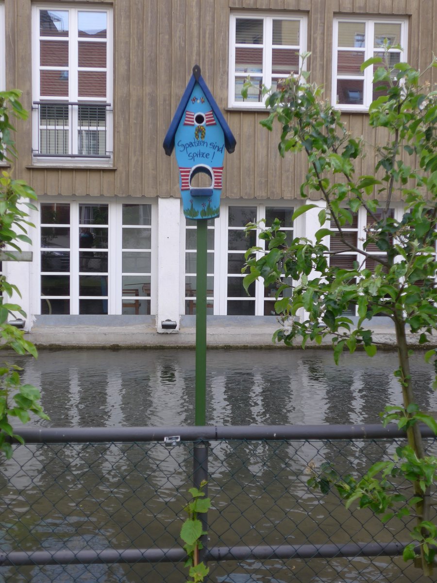(171'031) - Kunst:  Spatzen sind Spitze!  am 19. Mai 2016 in Ulm