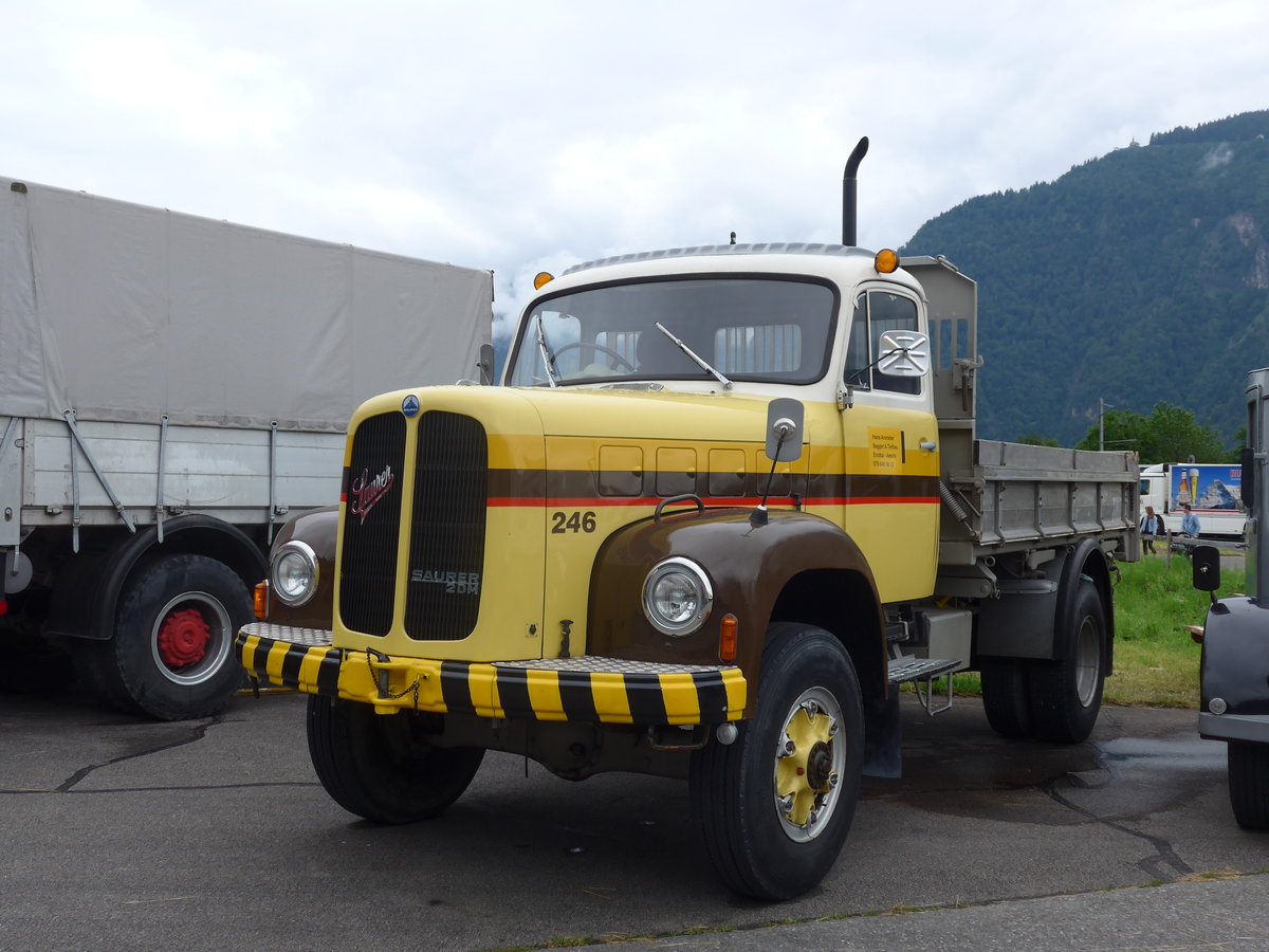 (172'449) - Ammeter, Emdtal - Nr. 246 - Saurer (ex STI Thun Nr. 246) am 26. Juni 2016 in Interlaken, Flugplatz
