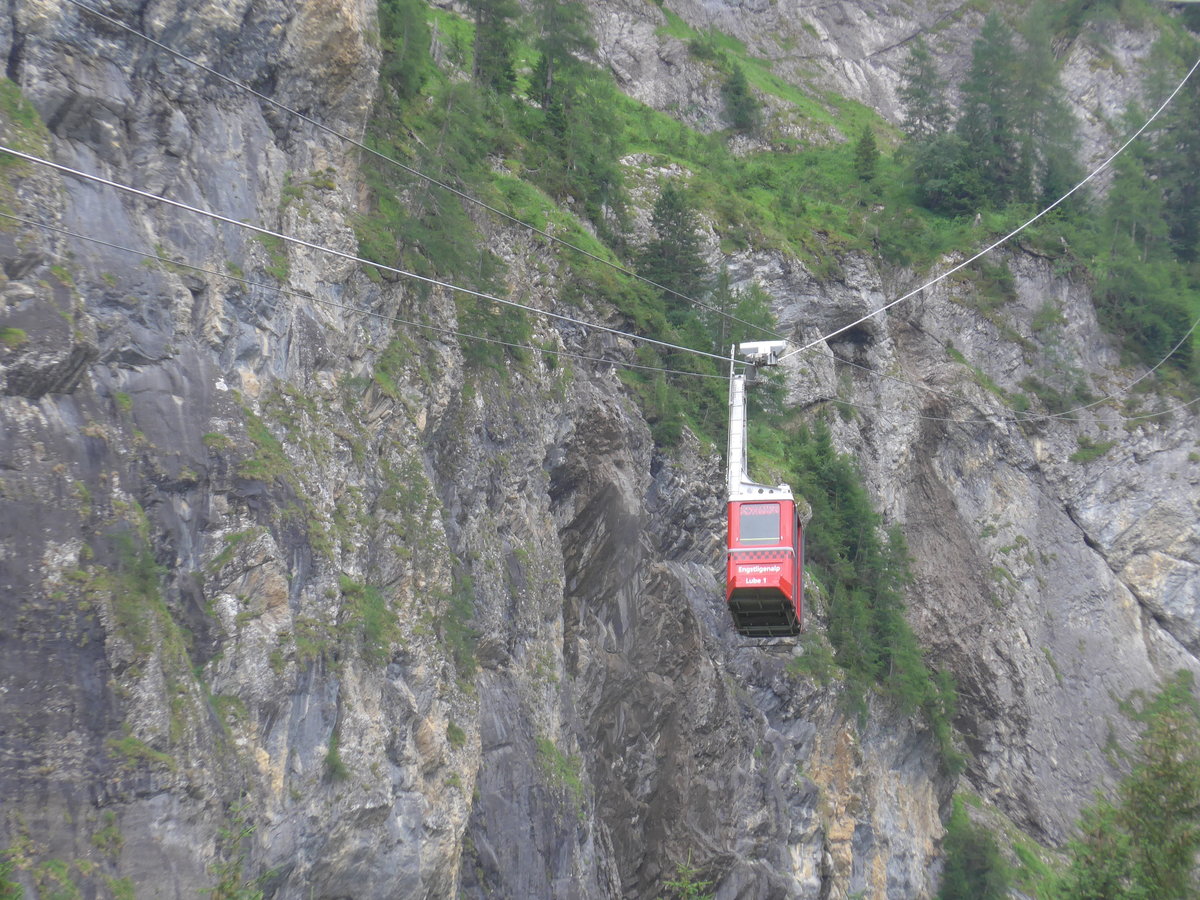 (173'417) - Luftseilbahn Unter dem Birg Engstligenalp - Lube 1 - am 31. Juli 2016 in Adelboden, Unter dem Birg