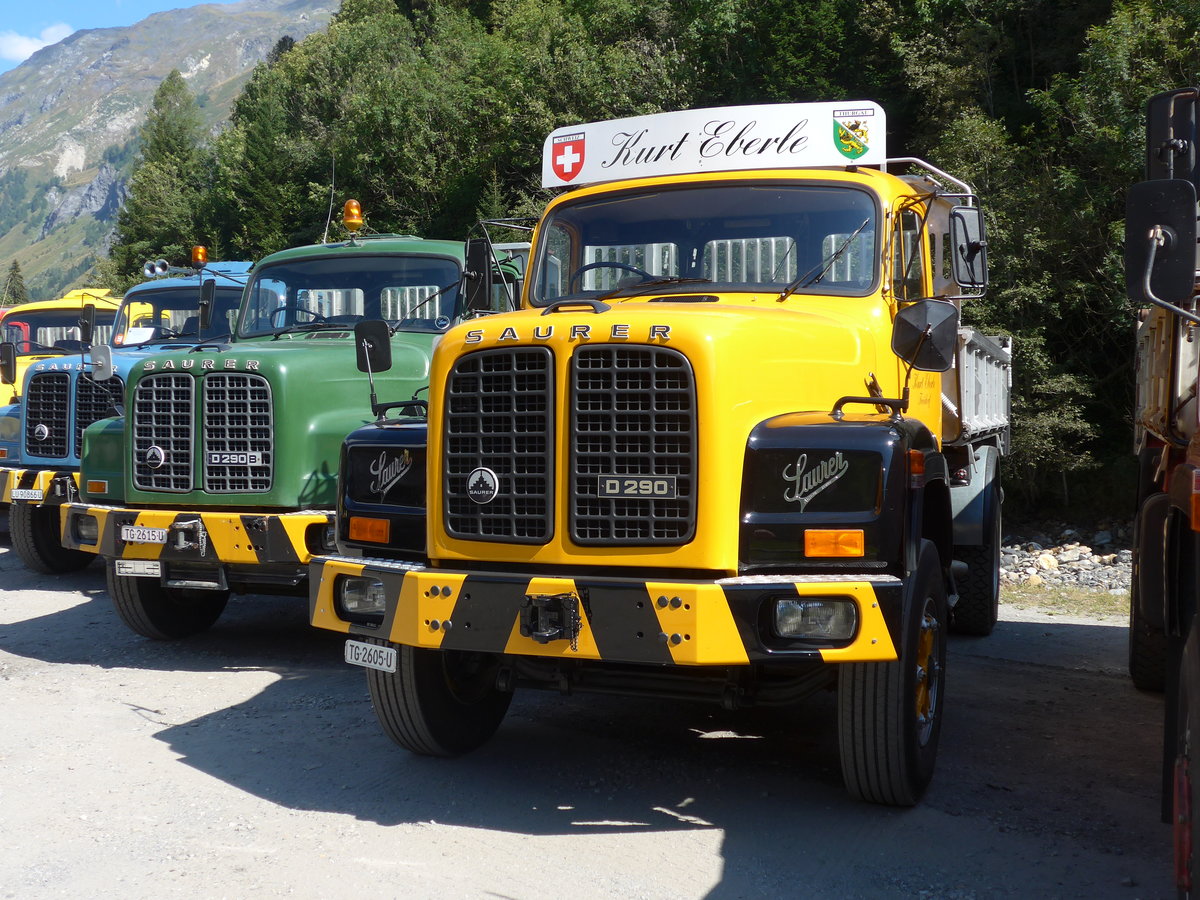 (174'695) - Eberle, Freidorf - TG 2605 U - Saurer am 10. September 2016 in Campo, Saurertreffen