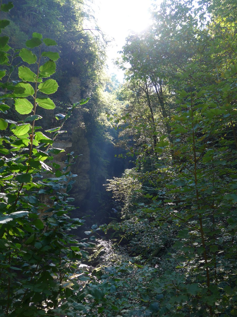 (175'194) - In der Areuse-Schlucht am 25. September 2016 bei Boudry