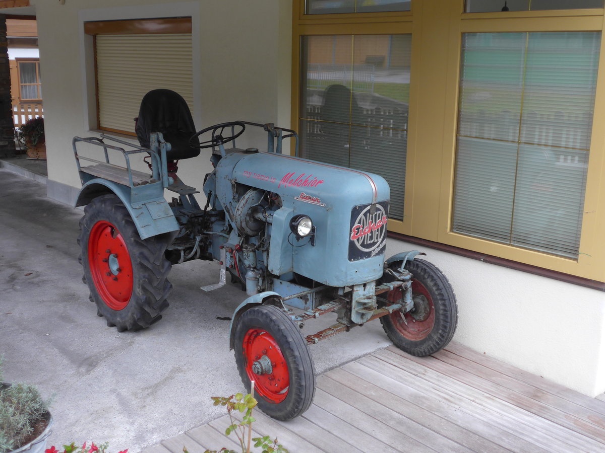 (175'892) - Traktor Eicher am 19. Oktober 2016 in Pertisau