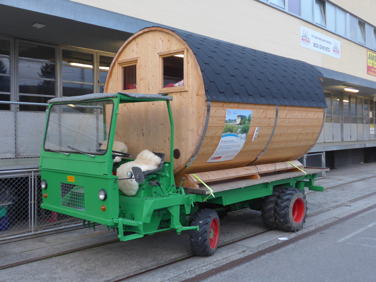 (176'441) - Mhlethaler - BE 607'356 - am 3. November 2016 in Thun, Rosenau