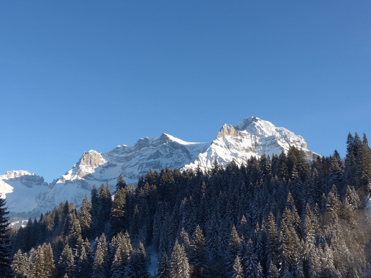 (178'025) - Der Lohner mit Wald am 9. Januar 2017 vom Rehrti bei Adelboden aus
