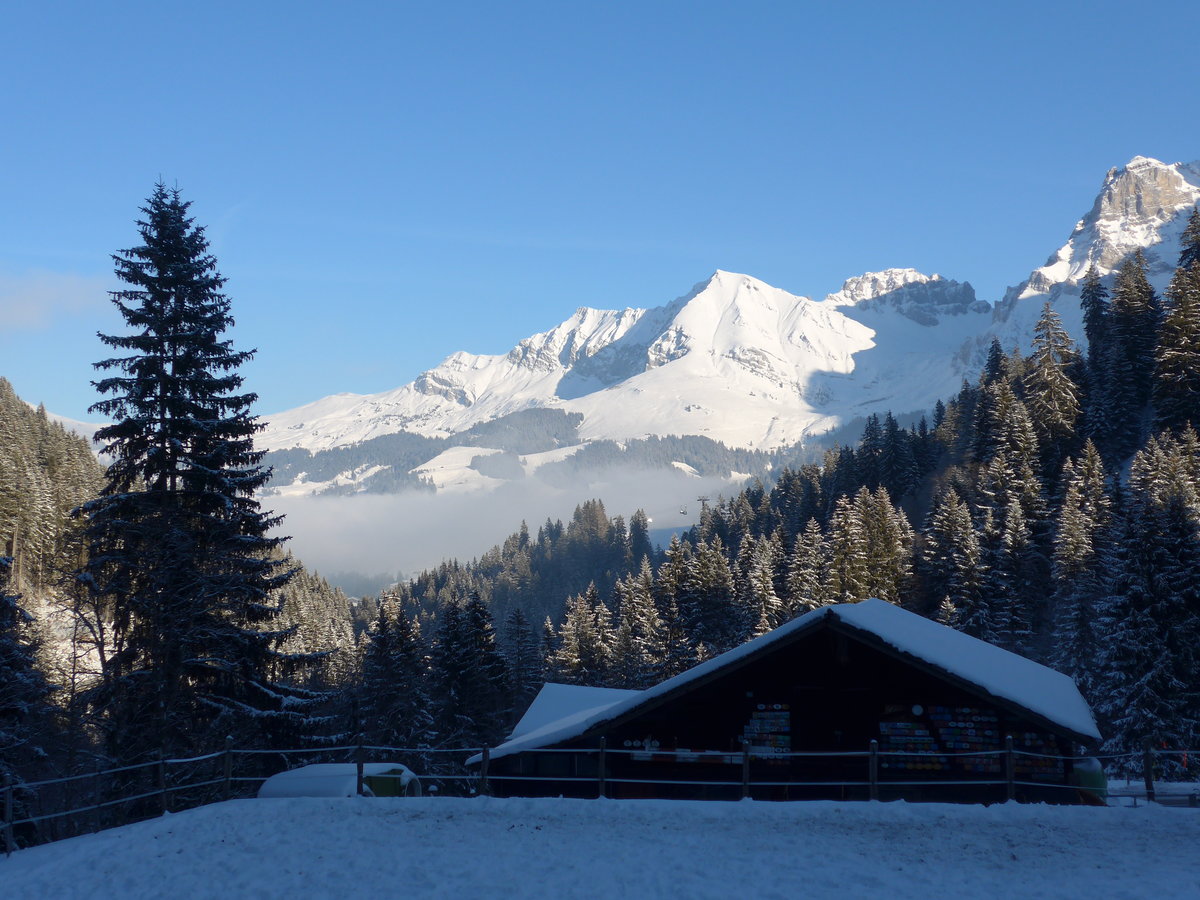 (178'026) - Die Bonderspitze mit aufkommendem Nebelmeer am 9. Januar 2017 vom Rehrti bei Adelboden aus