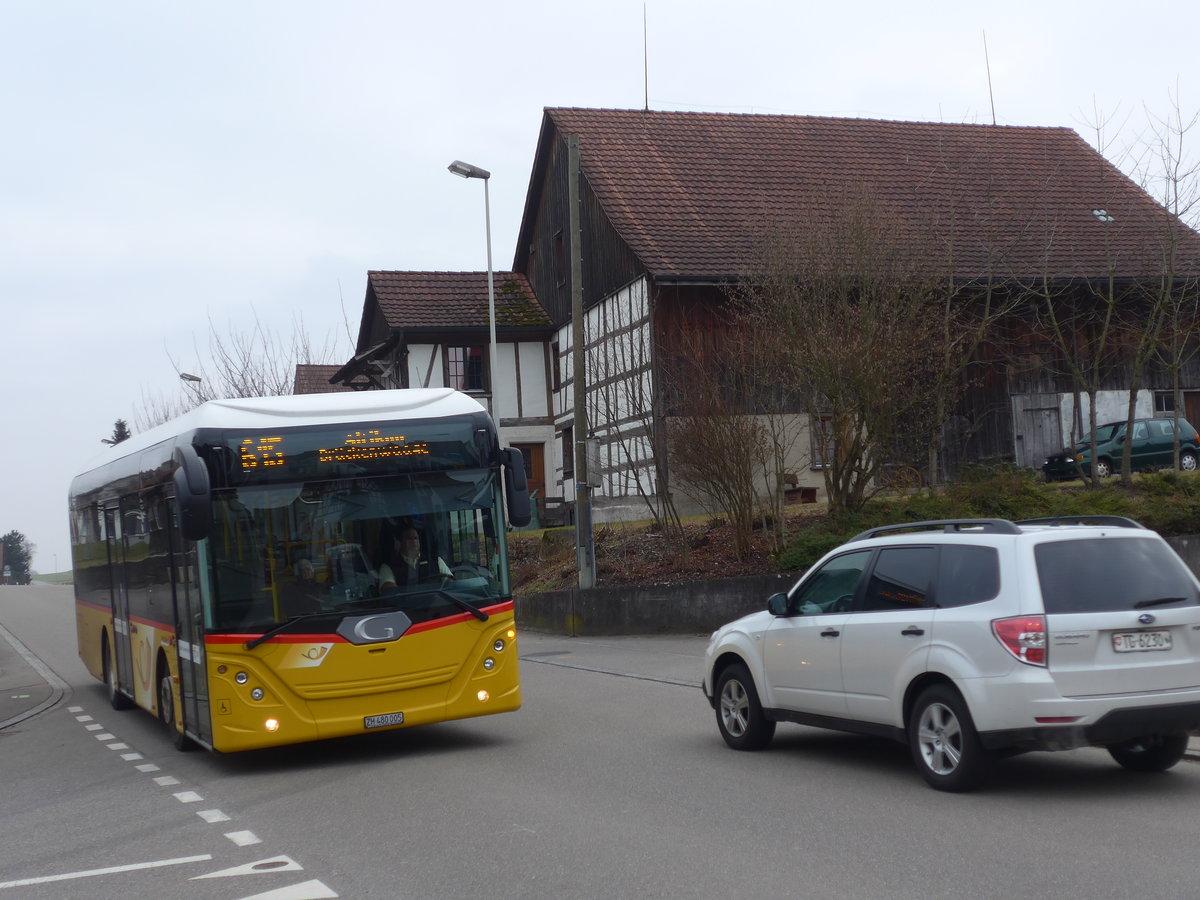 (178'482) - Mosser, Flaach - Nr. 289/ZH 480'005 - Gppel am 10. Februar 2017 in Altikon, Brckenwaage