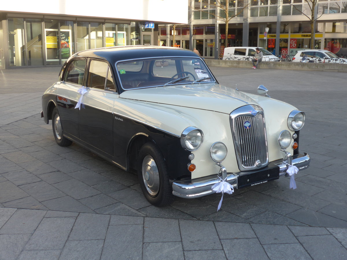 (178'744) - Riley am 25. Februar 2017 in Thun, Aarefeldplatz