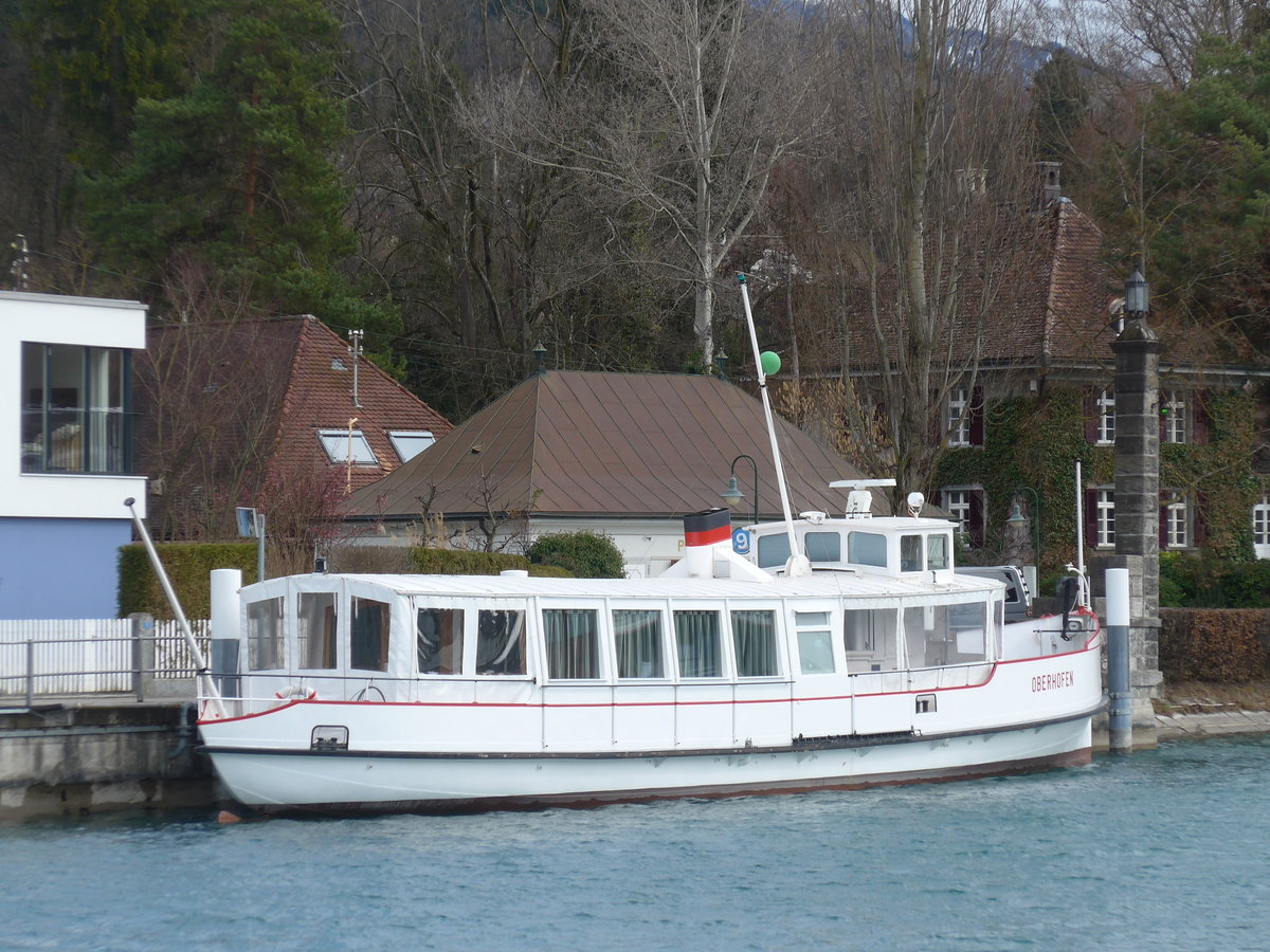 (178'831) - Das Motorschiff Oberhofen am 4. Mrz 2017 bei der Schifflndte Thun