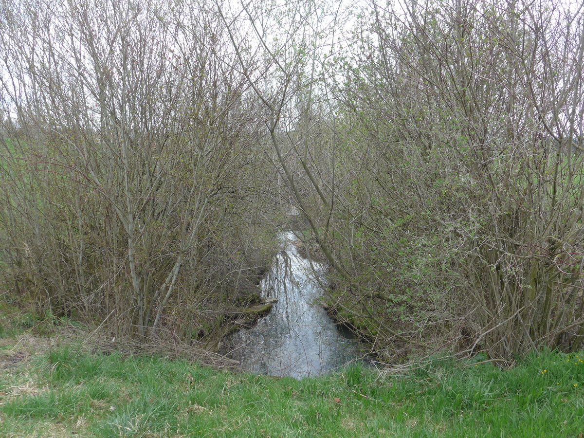 (179'259) - Bchli und Strucher am 1. April 2017 in Vendlincourt