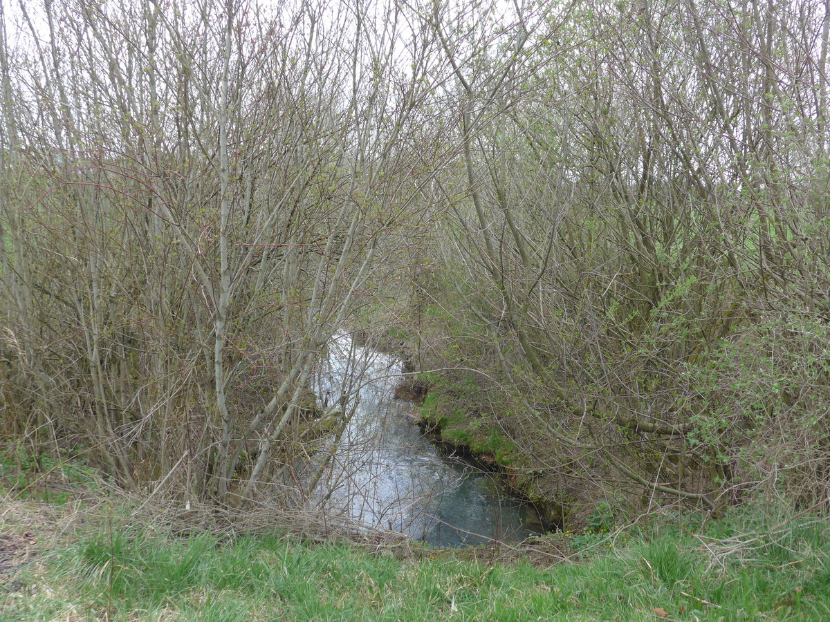 (179'260) - Bchli und Strucher am 1. April 2017 in Vendlincourt