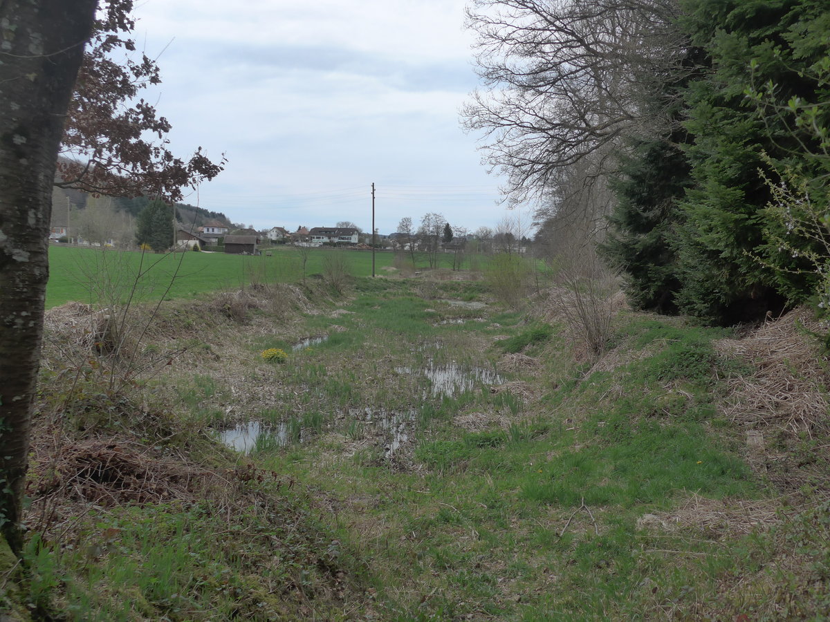 (179'276) - Tmpel beim Weier am 1. April 2017 bei Vendlincourt