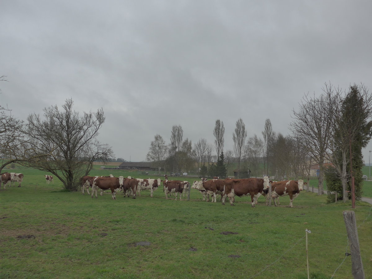 (179'304) - Khe am 2. April 2017 in Vendlincourt
