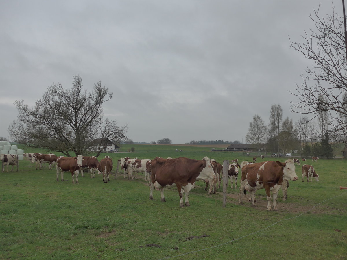 (179'305) - Khe am 2. April 2017 in Vendlincourt