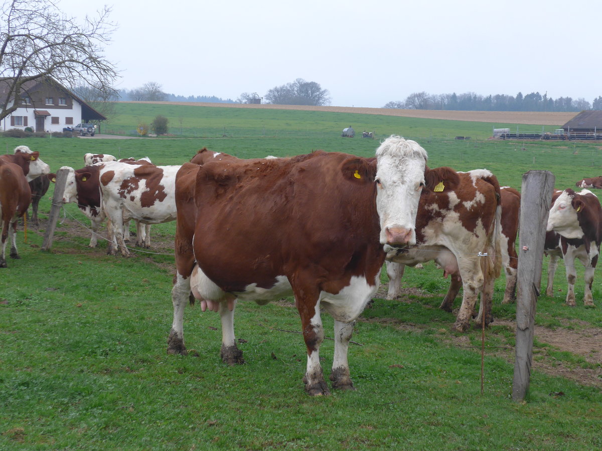 (179'307) - Khe am 2. April 2017 in Vendlincourt