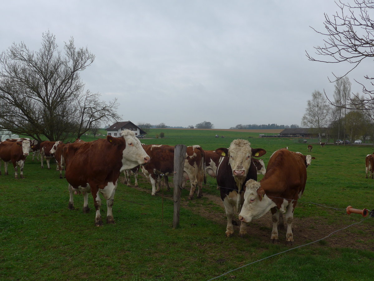 (179'308) - Khe am 2. April 2017 in Vendlincourt