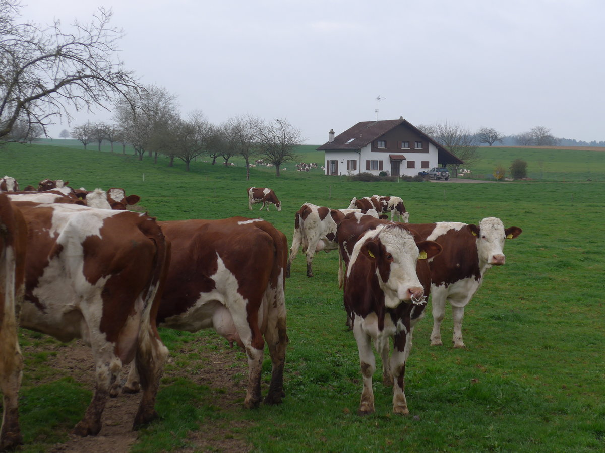(179'309) - Khe am 2. April 2017 in Vendlincourt