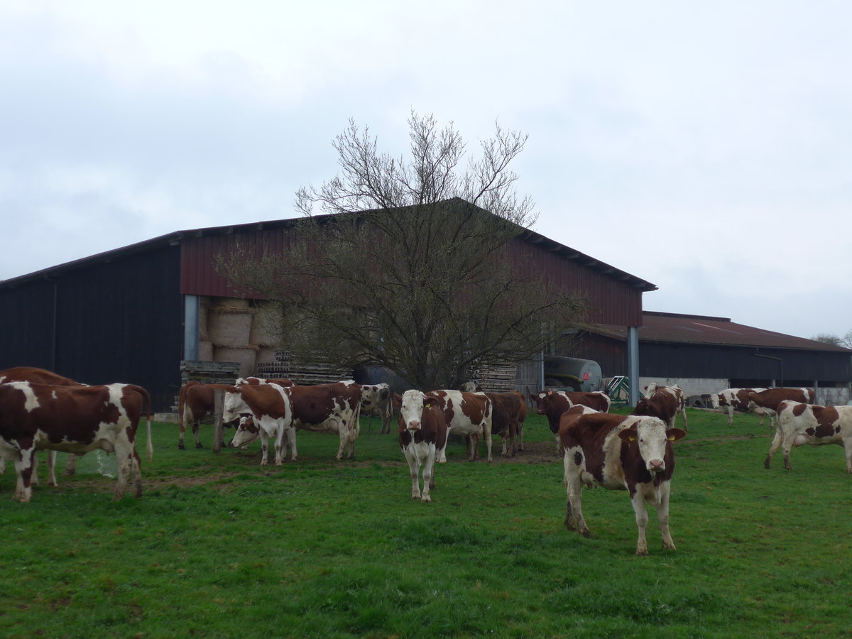 (179'310) - Khe am 2. April 2017 in Vendlincourt