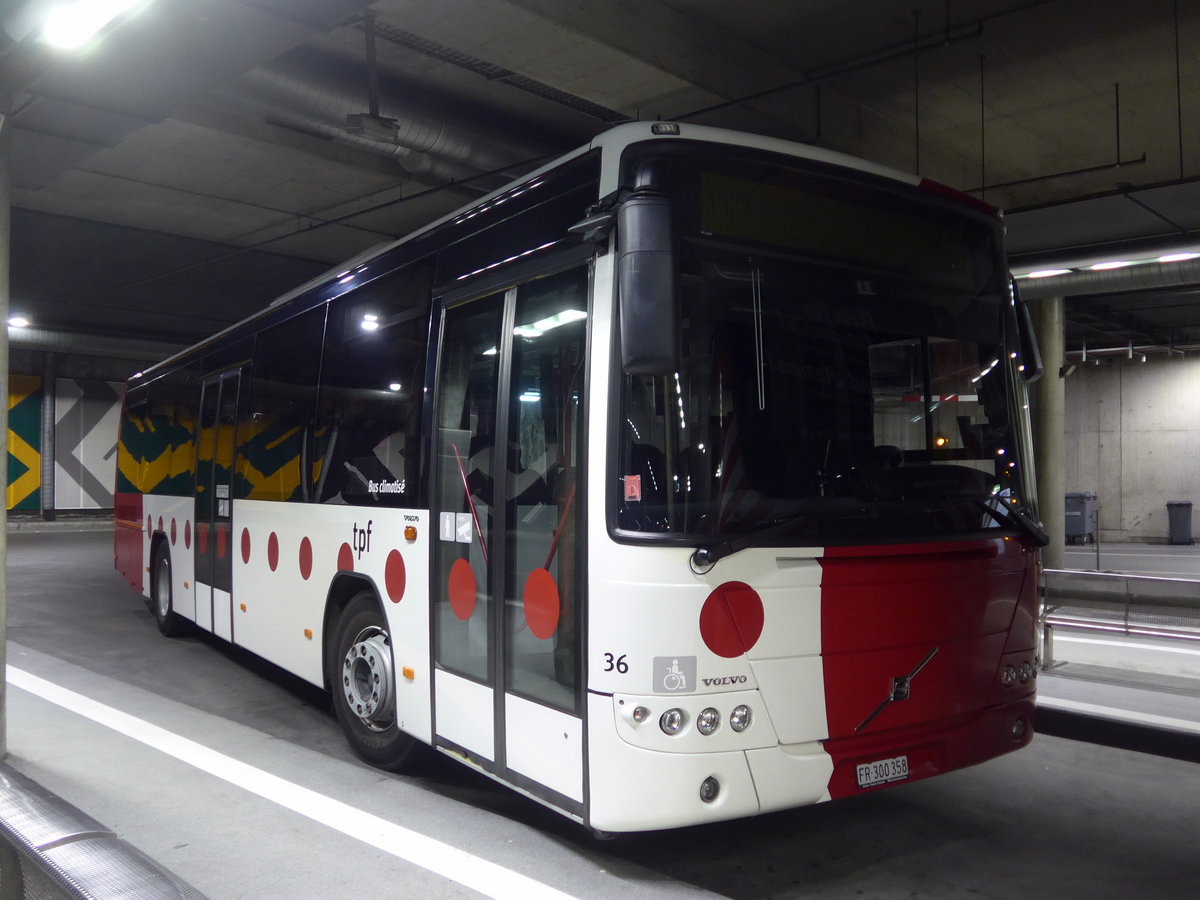 (181'161) - TPF Fribourg - Nr. 36/FR 300'358 - Volvo am 18. Juni 2017 in Fribourg, Busbahnhof