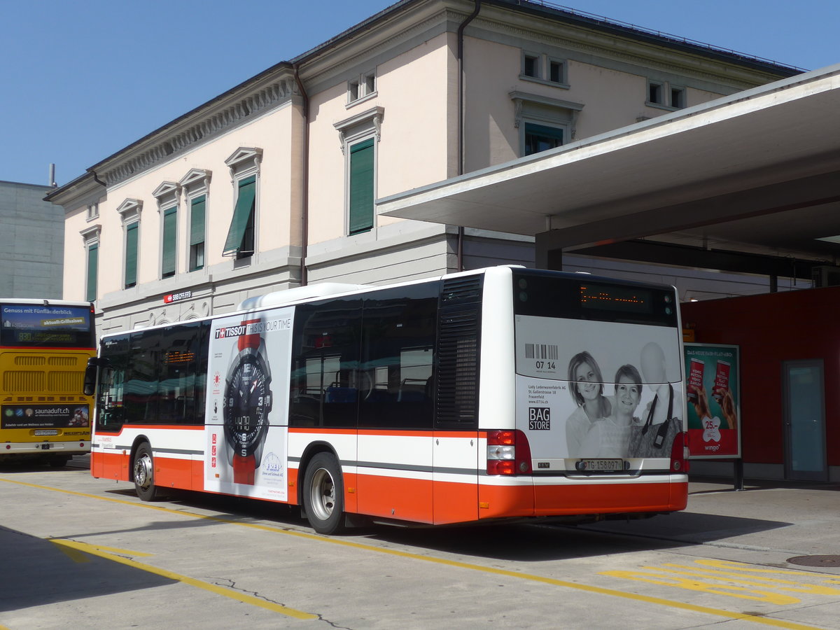 (182'574) - PostAuto Ostschweiz - TG 158'097 - MAN am 3. August 2017 beim Bahnhof Frauenfeld