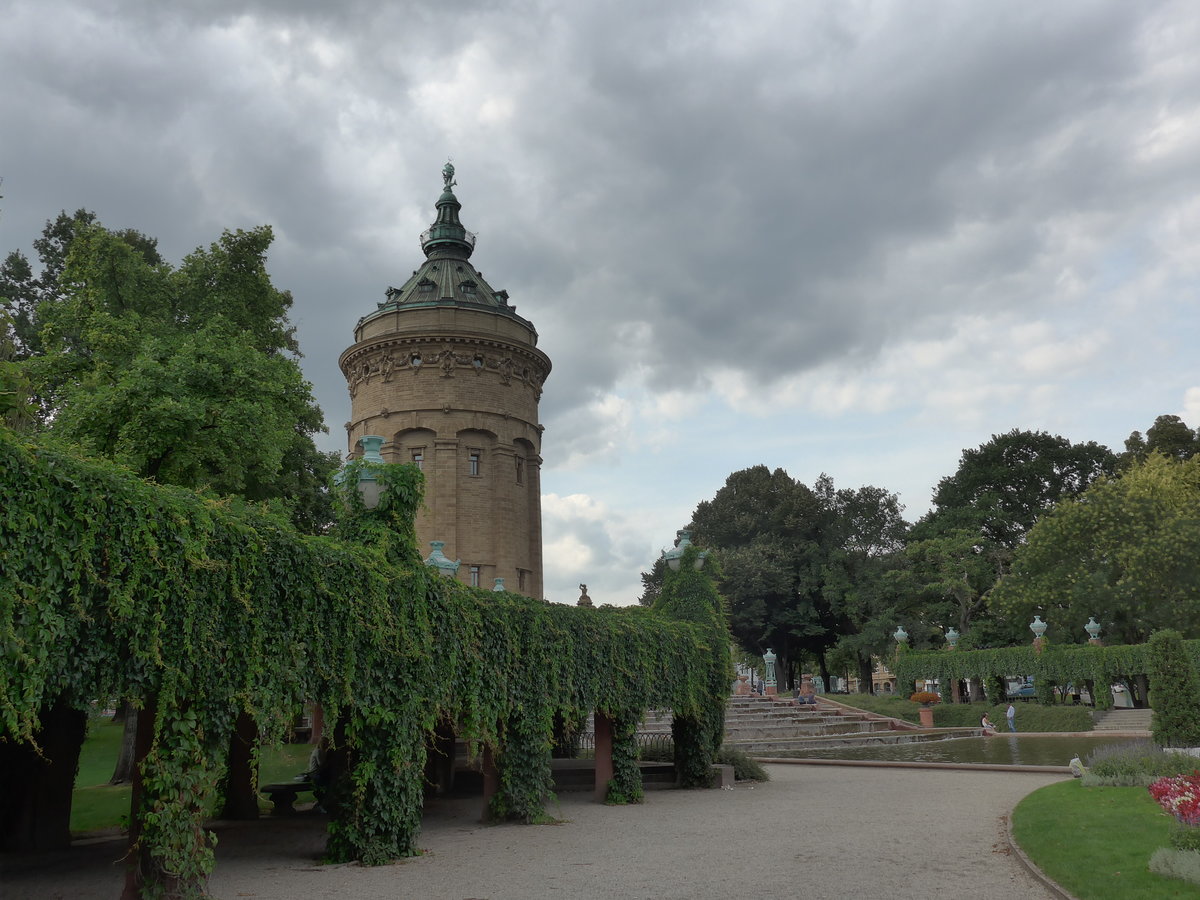 (183'786) - Der Wasserturm mit Bumen am 21. August 2017 in Mannheim