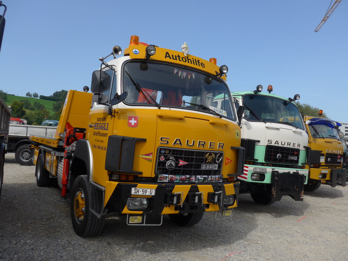 (184'437) - Heggli, Schaffhausen - SH 59 U - Saurer am 26. August 2017 in Oberkirch, CAMPUS Sursee