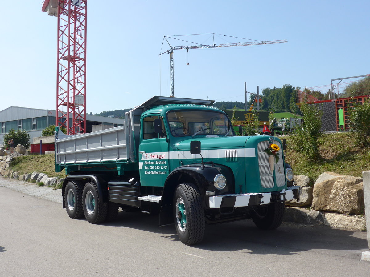 (184'448) - Heiniger, Riet-Neftenbach - ZH 356'788 - Berna am 26. August 2017 in Oberkirch, CAMPUS Sursee