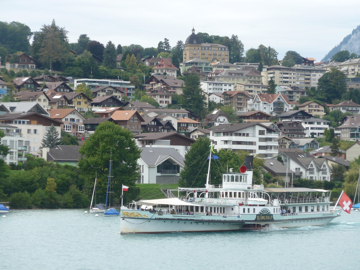 (184'664) - Dampfschiff Blmlisalp am 4. September 2017 bei der Spiezerbucht