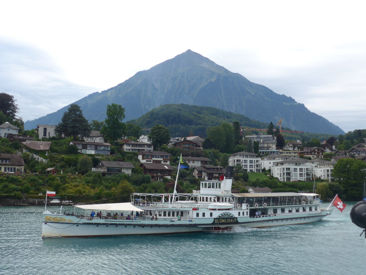 (184'665) - Dampfschiff Blmlisalp mit Niesen am 4. September 2017 bei der Spiezerbucht