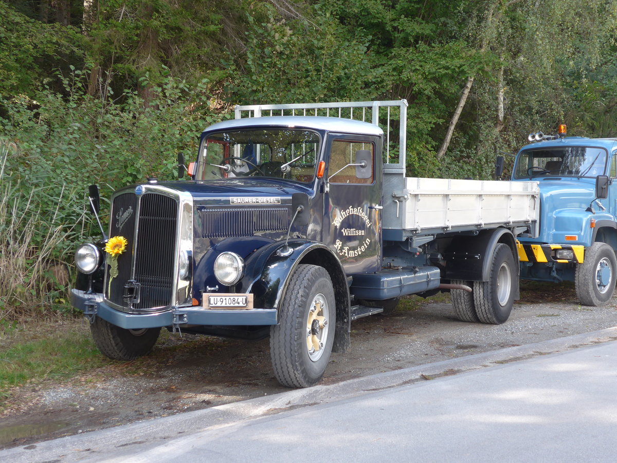 (184'980) - Amstein, Willisau - LU 91'084 U - Saurer am 16. September 2017 in Cazis, Bndner Arena