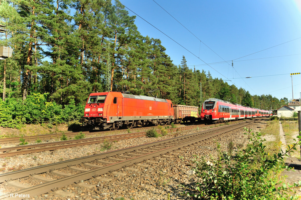 185 263-1 wird von 442 750 als S3 39352 Neumarkt/Oberpfalz - Nürnberg in Ochenbruck. 15.09.23