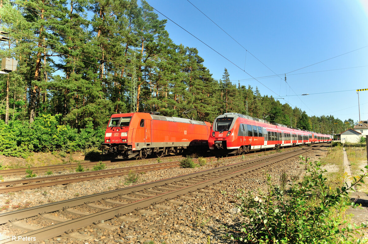 185 263-1 wird von 442 750 als S3 39352 Neumarkt/Oberpfalz - Nürnberg in Ochenbruck. 15.09.23