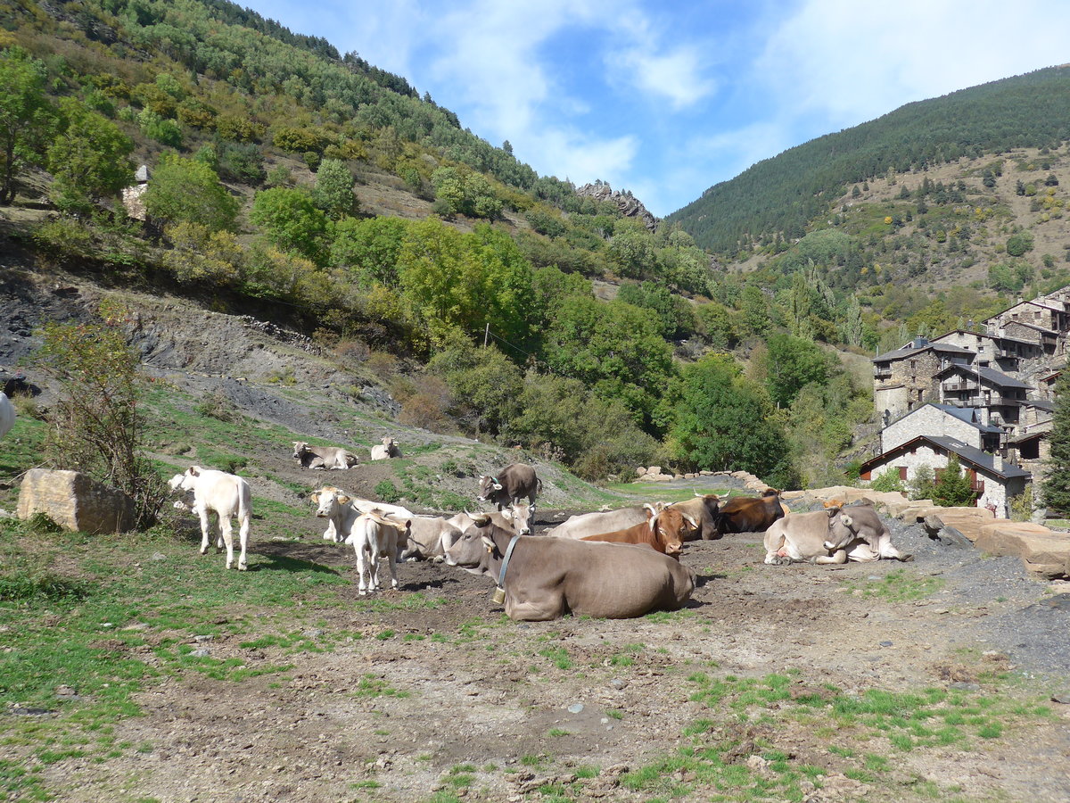 (185'548) - Khe am 28. September 2017 in Os de Civis