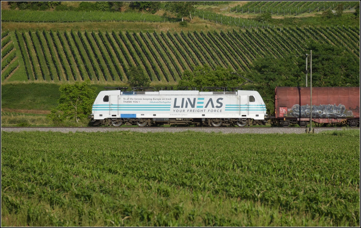 186 258 der Railpool im Lineas-Design bei Buggingen. Juni 2022.