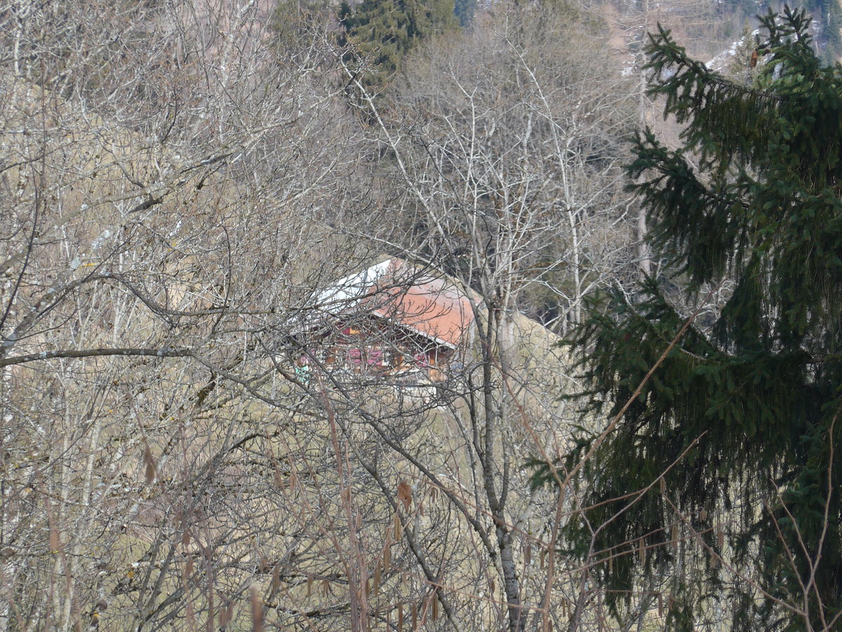 (189'068) - Das Zihl-Ladholz durch die Bume gesehen am 5. Mrz 2018 in Achseten