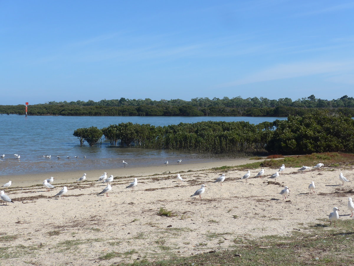 (190'205) - Mven am 18. April 2018 am Strand von Tooradin