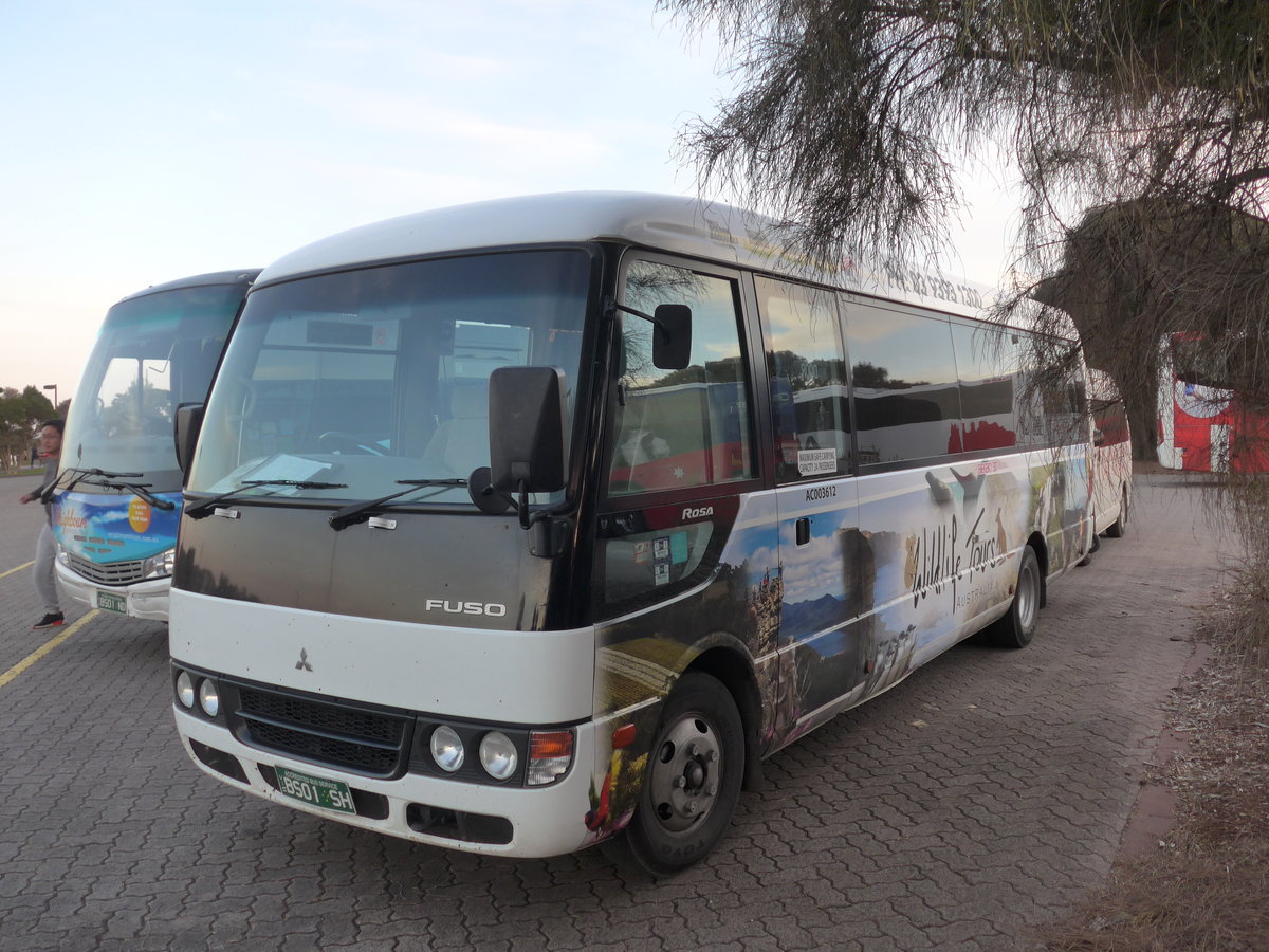 (190'345) - Wildlife Tours, Williamstown - BS01 SH - Mitsubishi am 18. April 2018 in Phillip Island, Penguin Parade