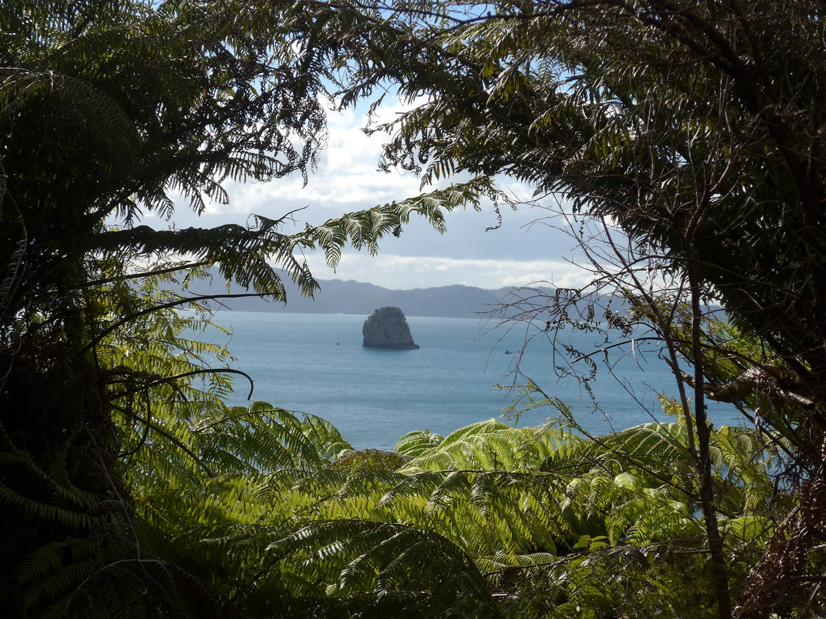 (190'533) - Insel durch die Bume am 20. April 2018 in Hahei Beach