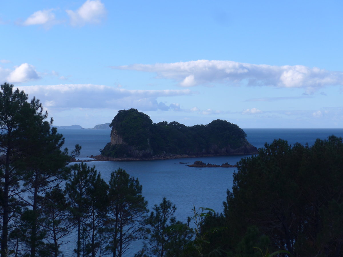 (190'547) - Insel und Bume am 20. April 2018 in Hahei Beach