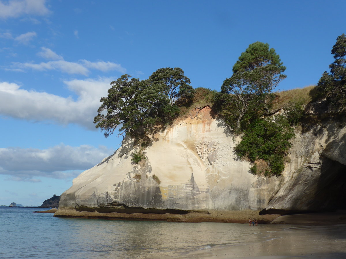 (190'571) - Felsen mit Bumen am 20. April 2018 in Hahei Beach