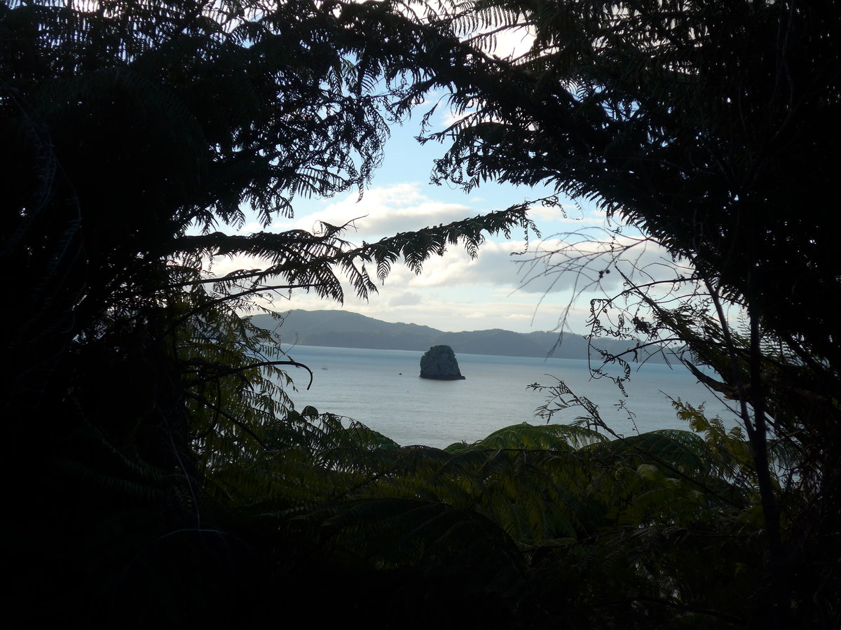 (190'595) - Insel durch die Bume am 20. April 2018 in Hahei Beach