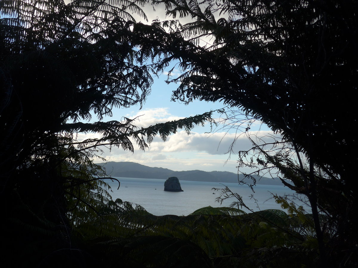 (190'596) - Insel durch die Bume am 20. April 2018 in Hahei Beach