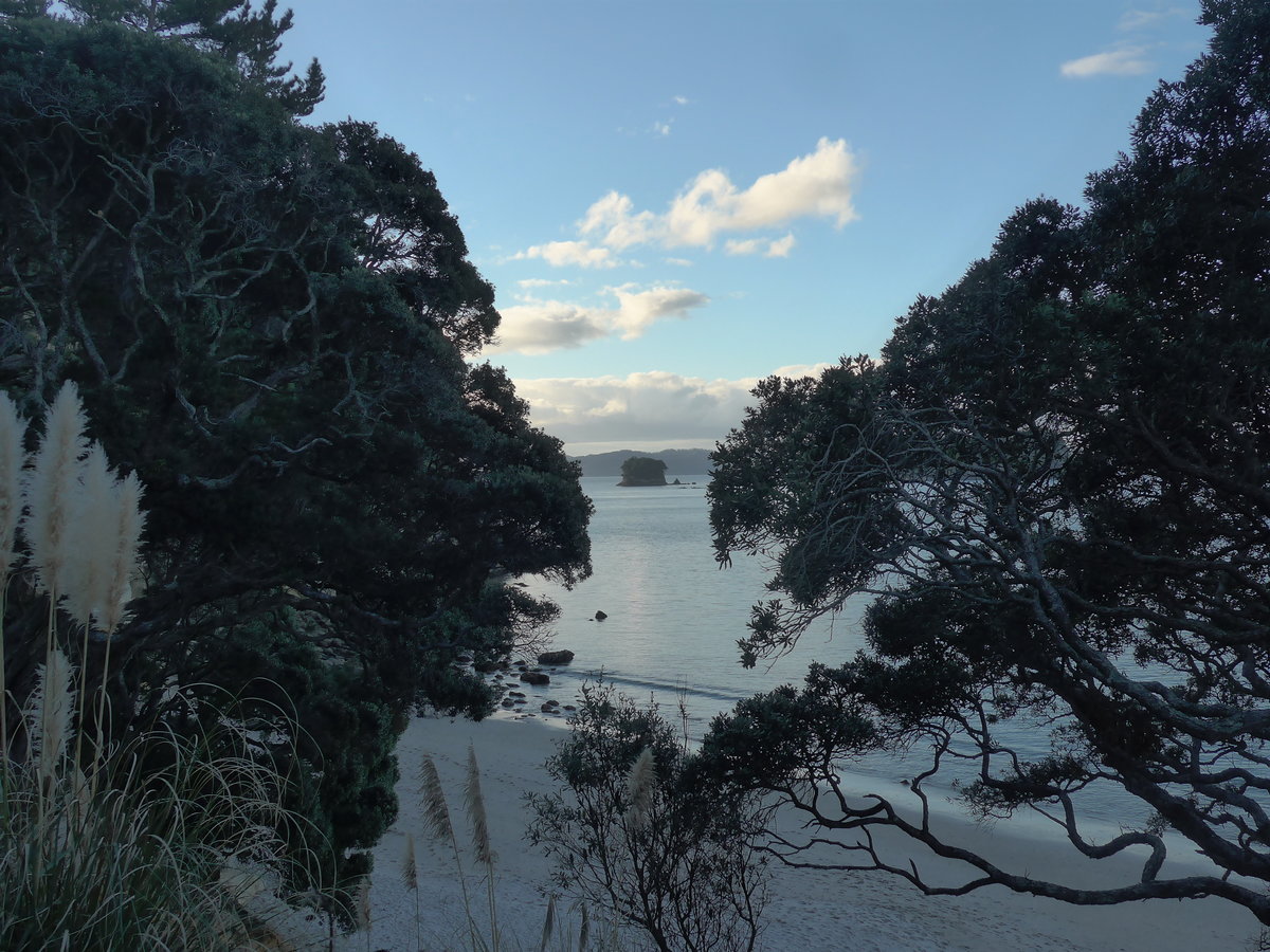 (190'599) - Insel und Bume am 20. April 2018 in Hahei Beach